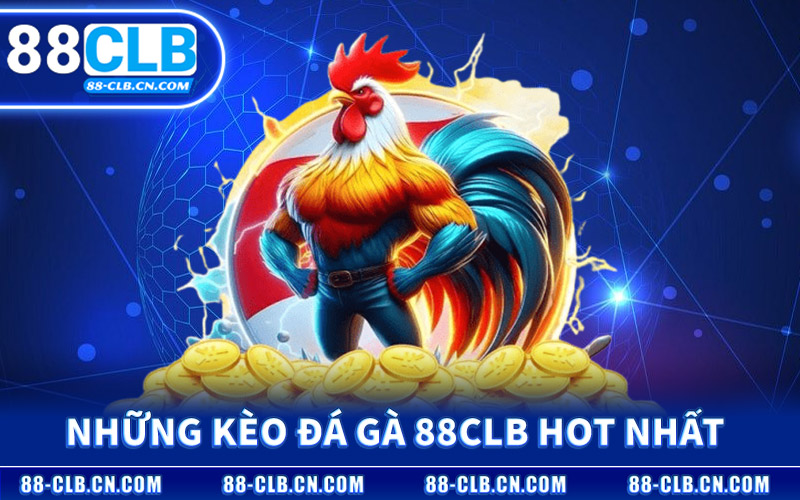 Những Kèo Đá Gà 88CLB Hot Nhất